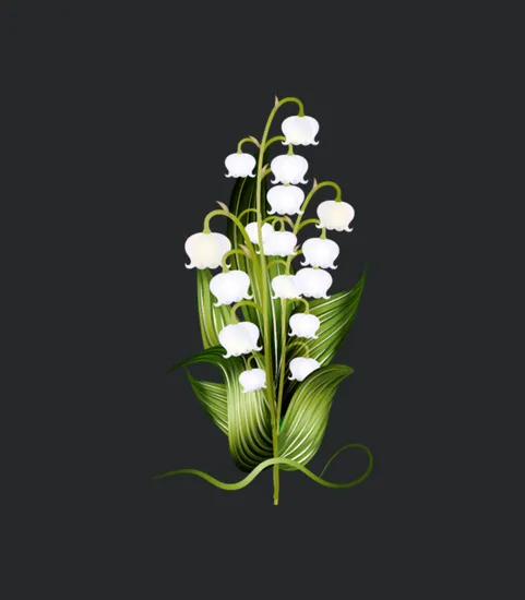 Dainty Lily Of The Valley Bouquet