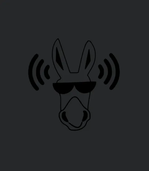 Dj Donkey Mule Animal Horse Music Disco Dance Gift