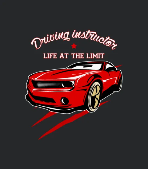 Driving Instructor School Drivers License Gift