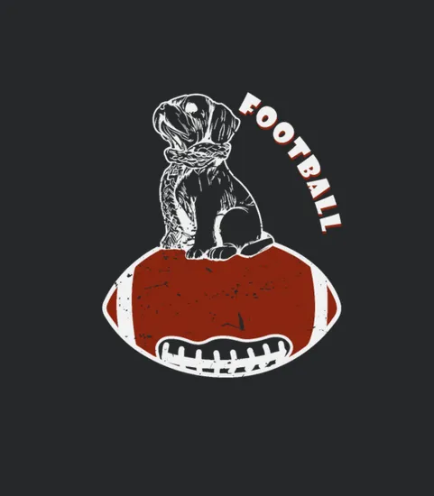 Football And Dog