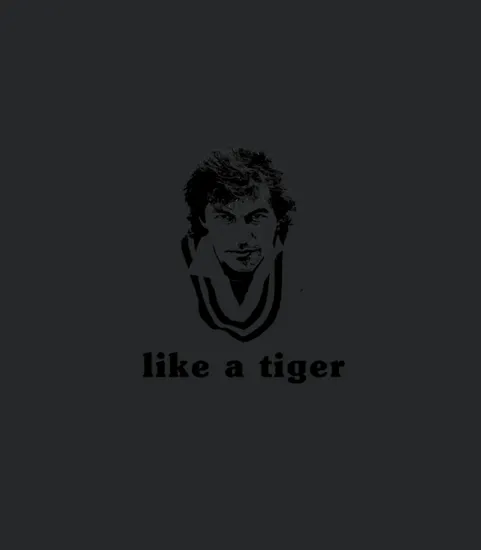Imran Khan Like A Tiger Retro 1980s Style Pakis