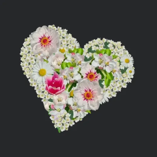 Heart Of Flowers Blossoms Daisy Tulip Pink Peony