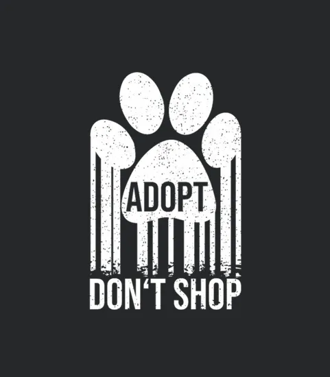 Adopt Dont Shop Shelter Cat Rescue Cat