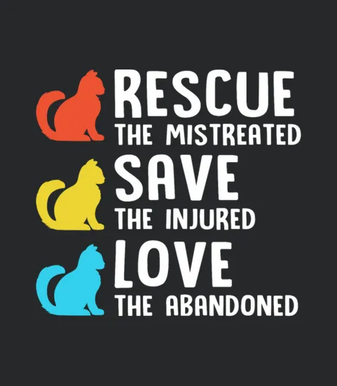 Cat Rescue Animal Welfare Adopt Rescue Pet