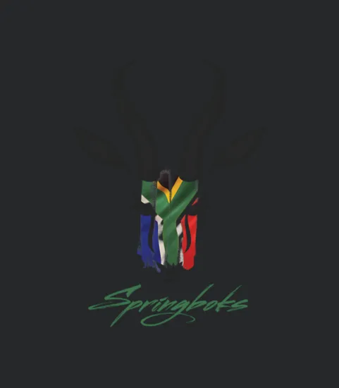 Springboks Rugby World Champs 1994 2007 2019