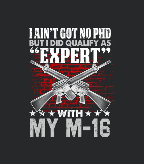 Veteran Design M16 Expert