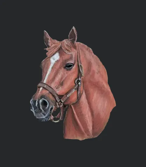 Big Red Quot Secretariat Race Horse