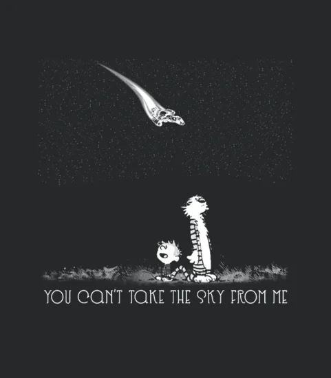 Firefly Serenity You Cant Take The Sky From M