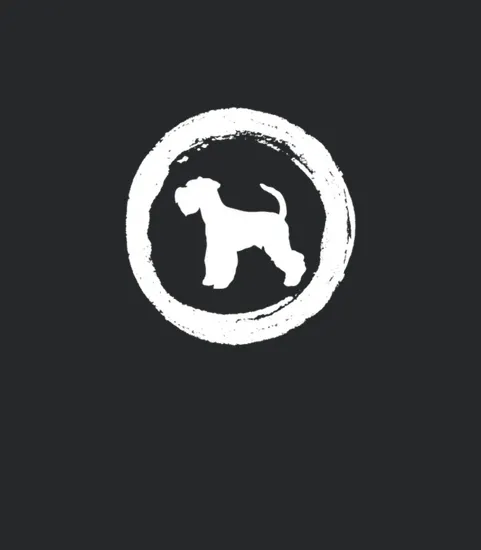 Giant Schnauzer Dog Puppy Schnauzers Schnauzer