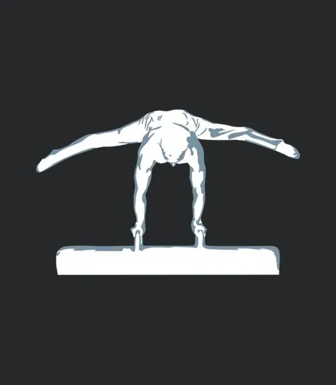 Gymnastics Pommel Horse Gymnast Mens Gymnastics