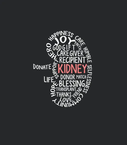 Kidney Transplant Donor Donate Surgery Recovery