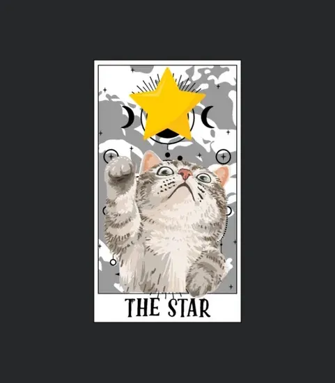 The Star Tarot Card Funny Cat Tarot Card A Tarot