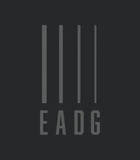 Bass Guitarist Bass Player Eadg 4 String