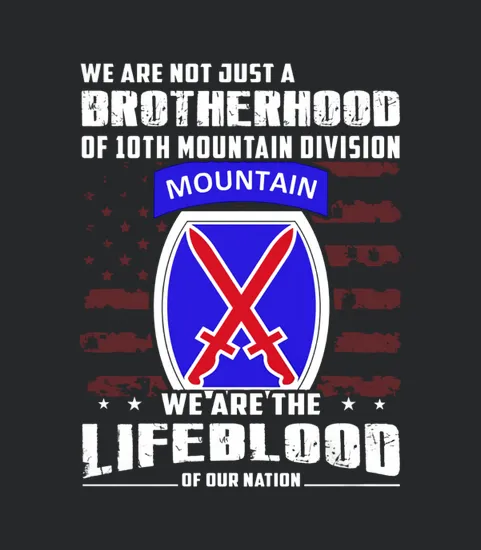 10th Mountain Division United States