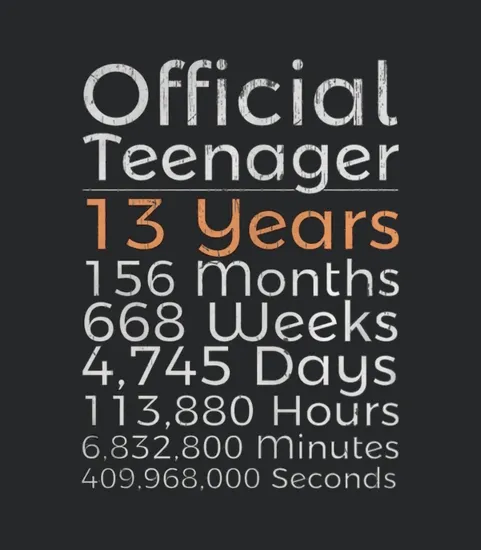 13th Birthday Gifts Official Teenager