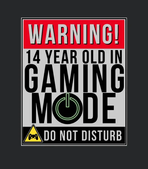 14th Birthday For Boys 14 Year Old Gamers