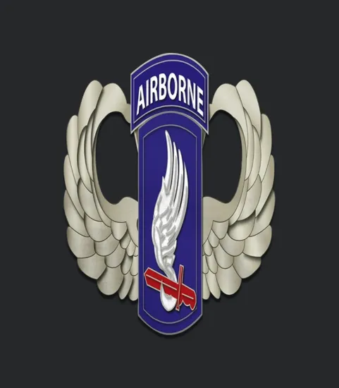 173rd Airborne Brigade Wings