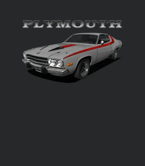 1973 74 Plymouth Road Runner Grey