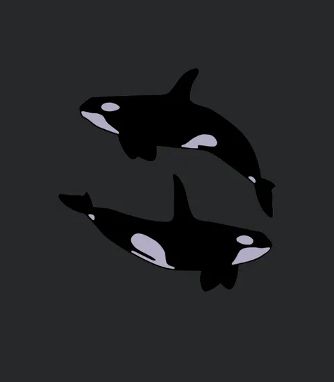 2 Orca