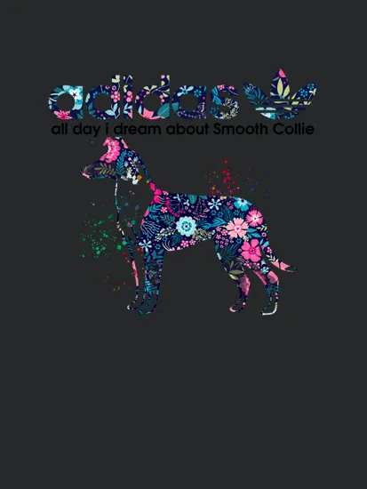 2212 Smooth Collie