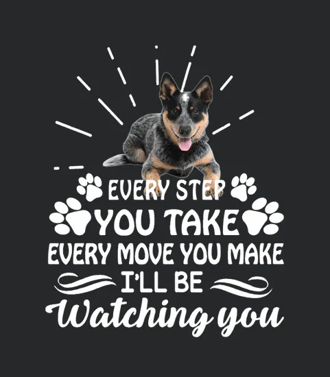 Every Step You Take Blue Heeler