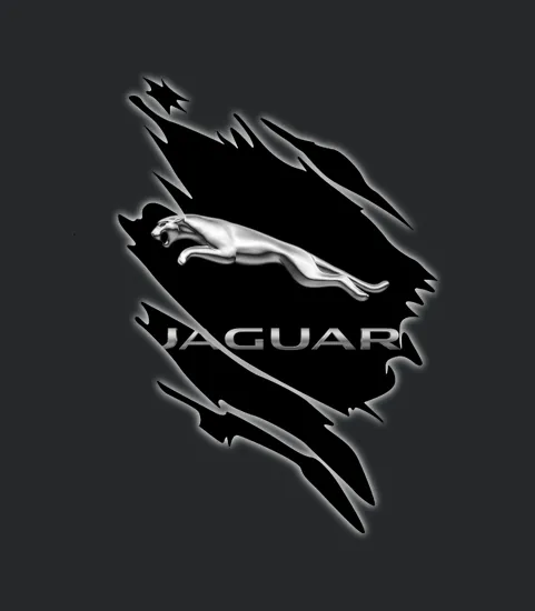 Jaguar Ca