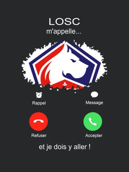 Losc Lille Association 