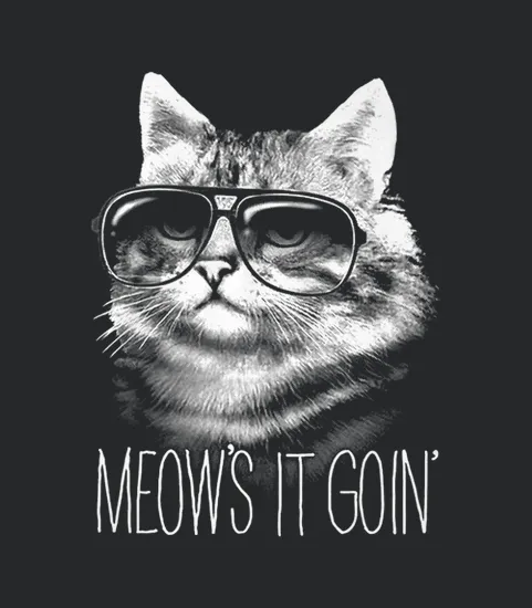 Meows It Goin