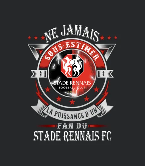 Ne Jamais Sous Estimer La Puissance Dun Fan Du Stade Rennais Fc