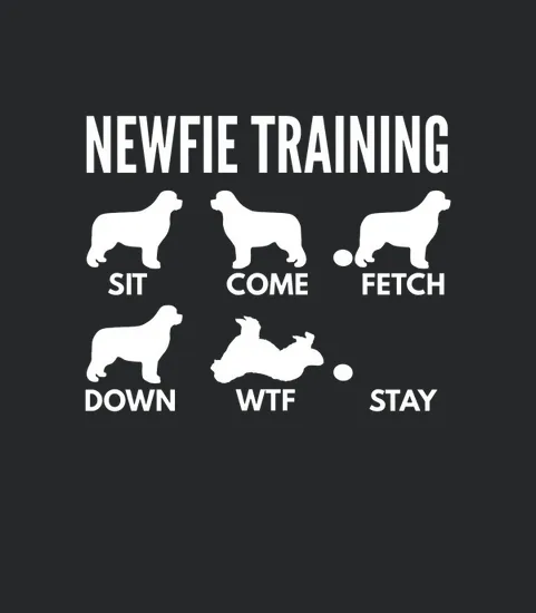 Newfie Training Newfoundland Dog Tricks