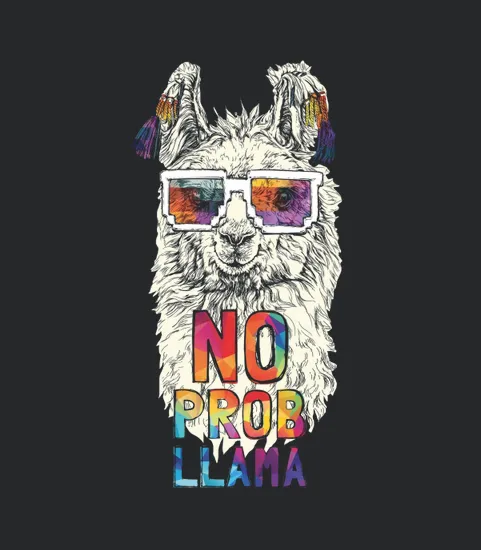 No Probllama No Problem Llama Alpaca Lover Gift