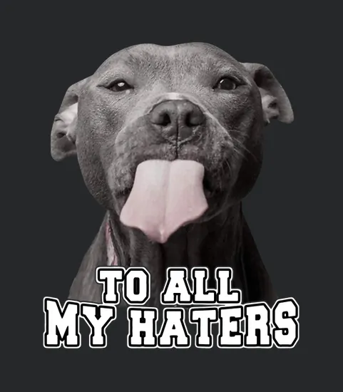 Pitbull To All My Haters