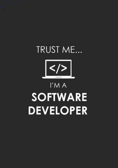 Software Developer