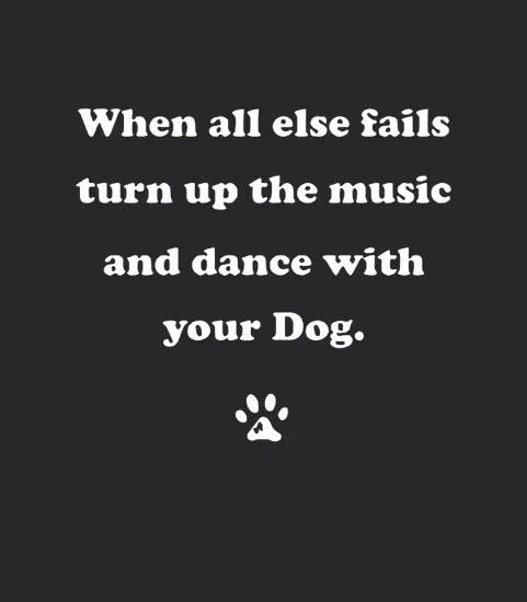 When All Else Fails Turn Up The Music And Dance With Your Dog