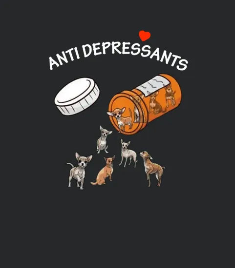 Antidepressant Chihuahua