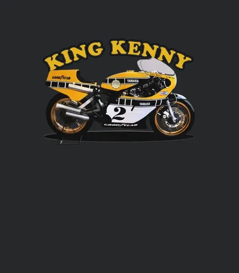 Kenny Roberts Motogp 2