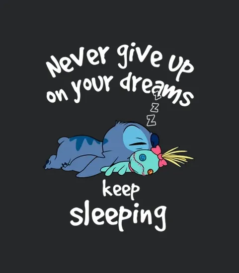 Never Give Up On Your Dreams Keep Sleeping