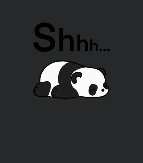 Shhh Panda Endormi