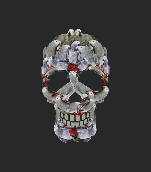 Skull Tees For Grey Parrot Lover