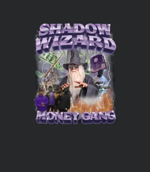 Swag Stimulus Merch Shadow Wizard Money Gang