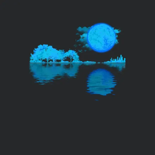 Acoustic Guitar Lake Shadow Guitar Player