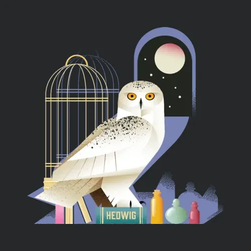 Harry Potter Hedwig The Owl At Night
