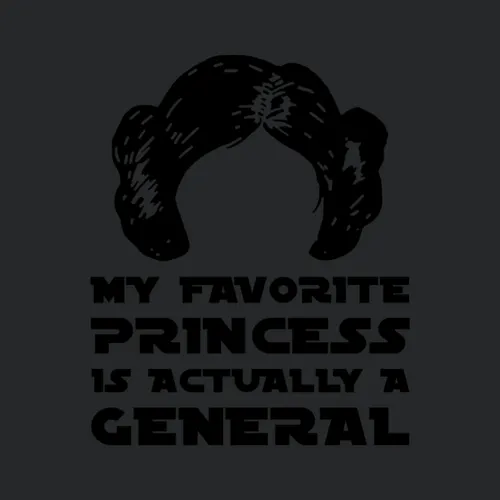 My Favorite Princess Is Actually A General