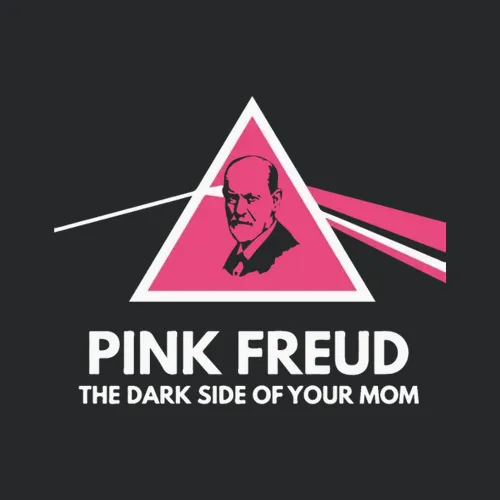 Pink Freud The Dark Side Of
