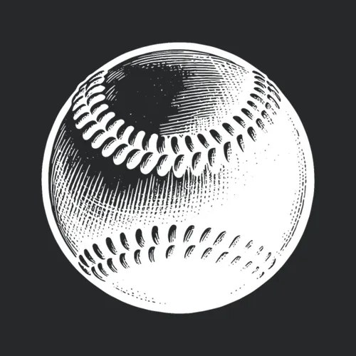 Vintager Baseball For Players And Coaches