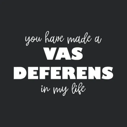 Vas Deferens Gag Urologist Doctor Med Student