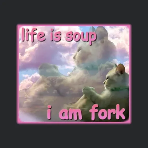 Life Is Soup I Am Fork Funny Cat Meme
