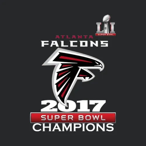 2017 Atlanta Falcons Super Bowl Li Champions Rise Up New Grey T Shirts