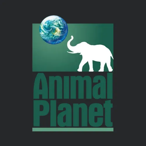 Animal Planet Nature Tv Show