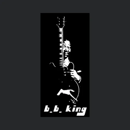 Bb King Blues Rock Joe